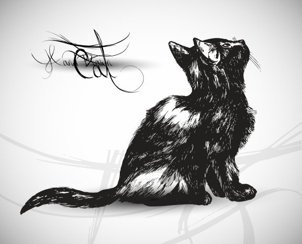 猫草图图片下载