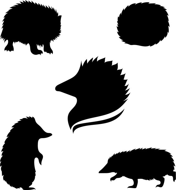 刺猬集图片下载