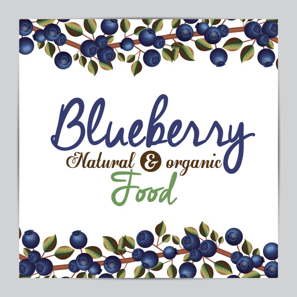 蓝莓设计图片下载