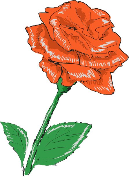 粉色玫瑰图片下载