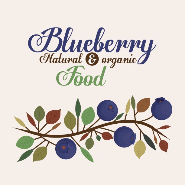 蓝莓设计图片下载