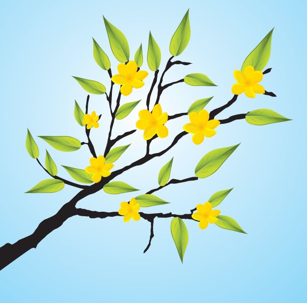 植物的分支图片下载