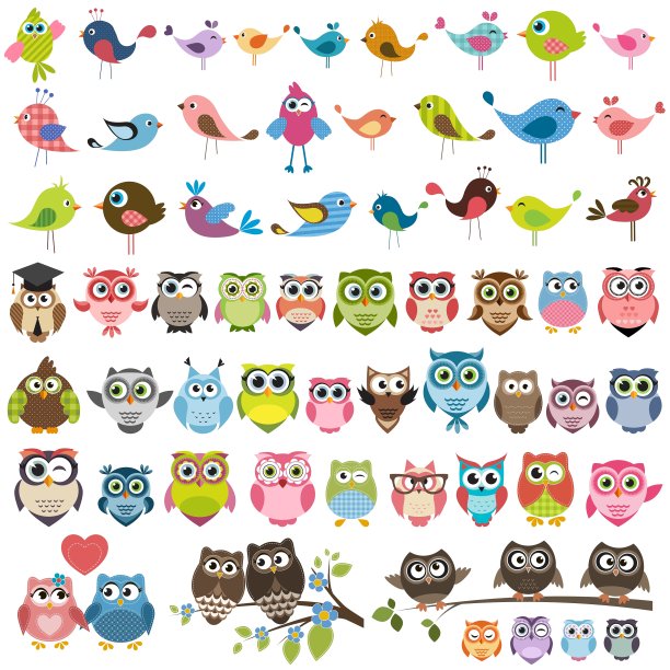 卡通色彩的鸟和猫头鹰图片下载