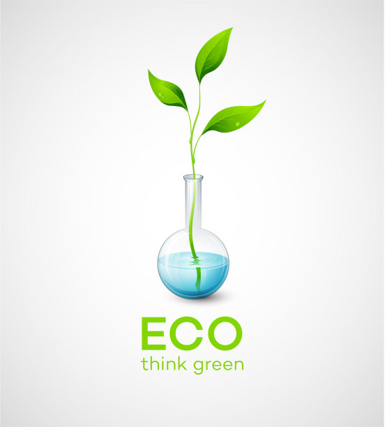 细枝在烧瓶里图片下载