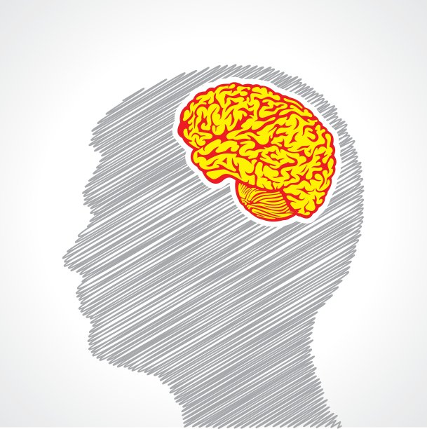 手画人的脸，在他的头脑图片下载