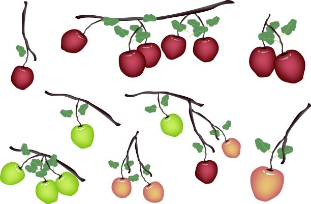 设置的新鲜苹果在白色的背景图片下载