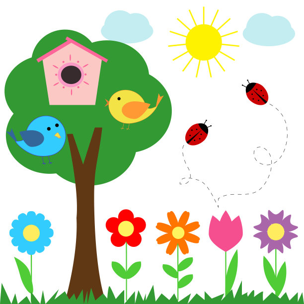 一套花瓢虫鸟图片下载