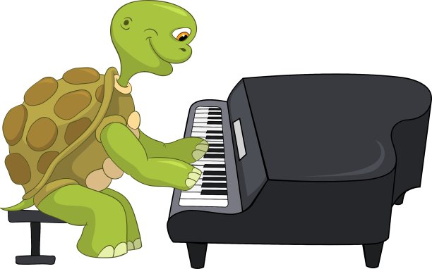 有趣的海龟的钢琴家图片下载