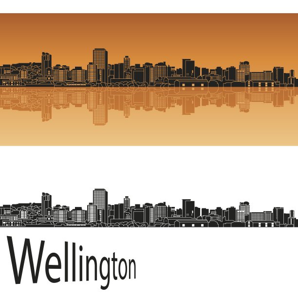 橙色的惠灵顿地平线图片下载