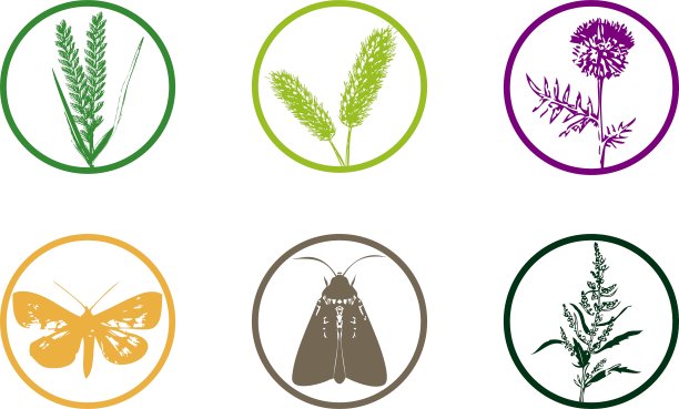 植物杂草图标图片下载