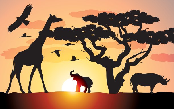 大象长颈鹿犀牛图片下载