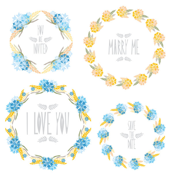 花卉框架集图片下载