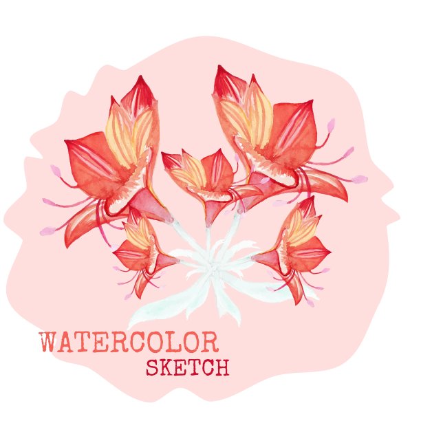 水彩画花图片下载