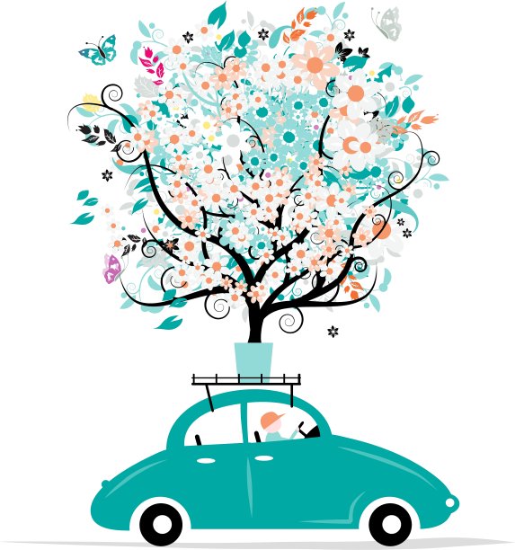 车顶上有棵花树图片下载