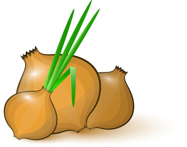 洋葱图片下载