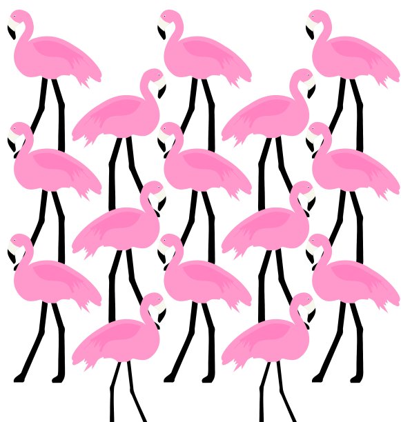 鸟类的火烈鸟图片下载