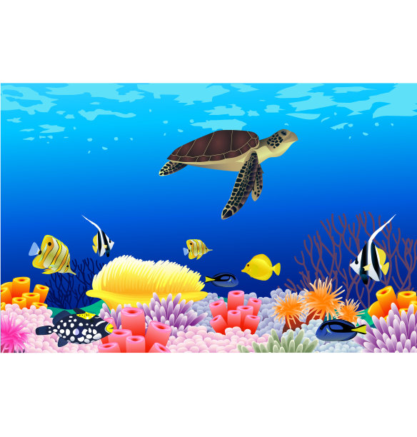 海洋生物图片下载
