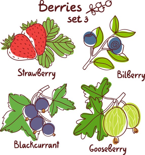 浆果集3图片下载