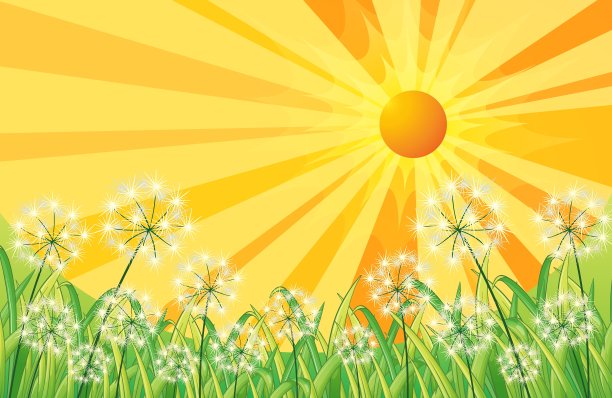 山上有草的日落景色图片下载