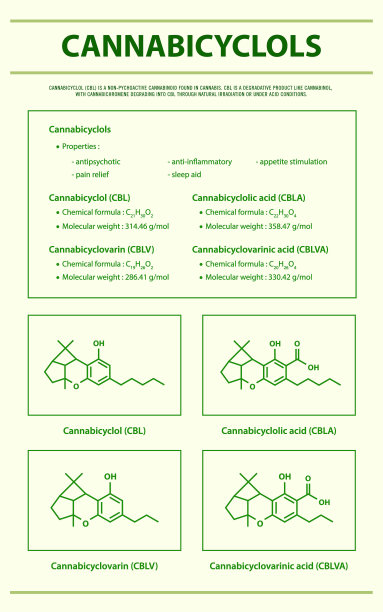 大麻垂直信息图中含有结构公式的Cannabicyclol CBL图片下载