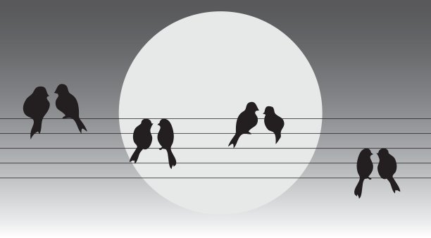 电线上的鸟图片下载