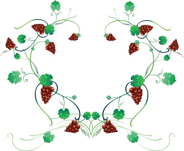 花的框架图片下载