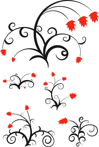 为您的设计装饰花卉装饰图片下载