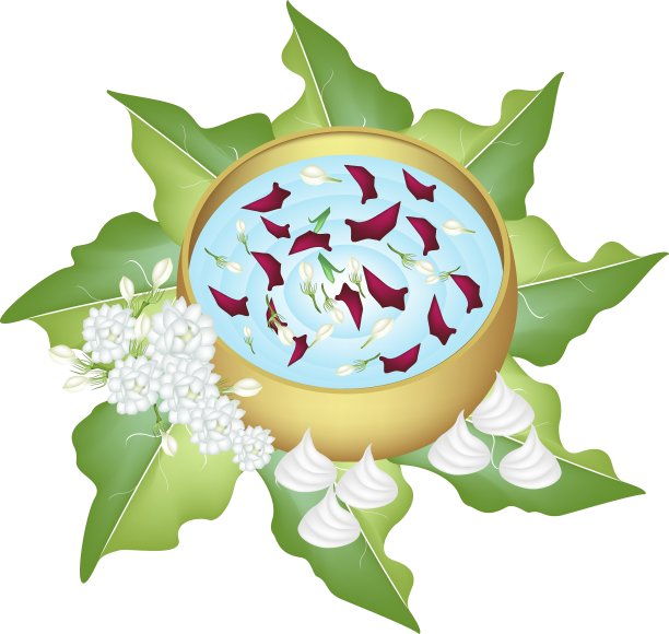 宋干节水碗花冠图片下载