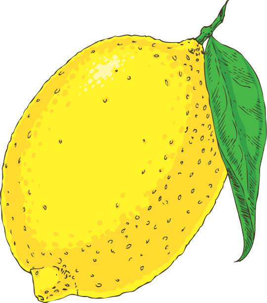 成熟的黄色的柠檬图片下载