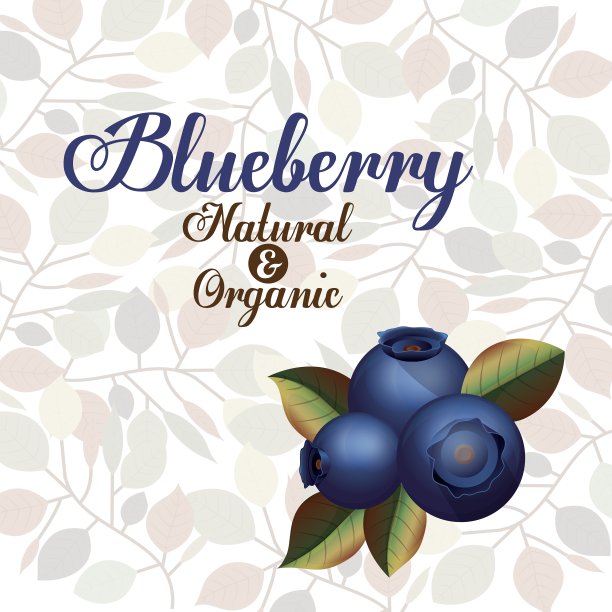 蓝莓设计图片下载