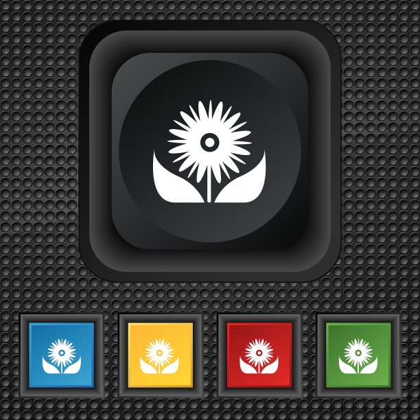 带有花瓣的花束，图标，标志，象征图片下载