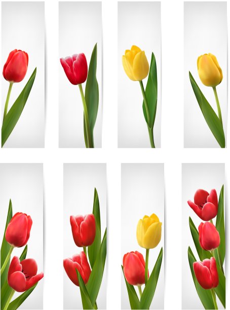 一组带粉红色花朵的横幅图片下载