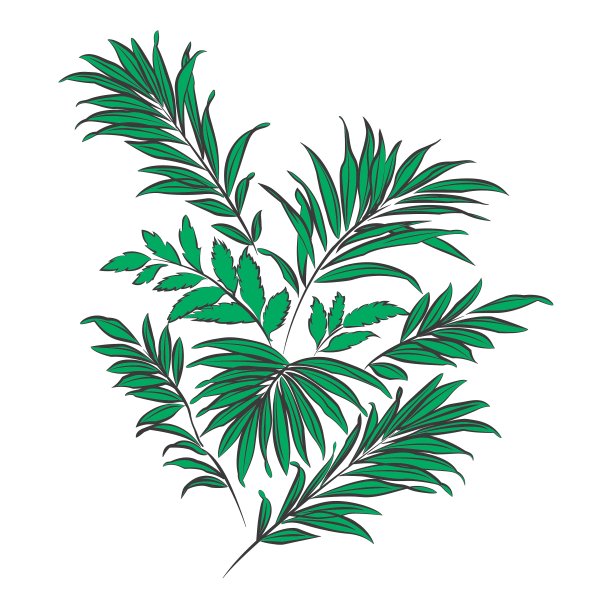 棕榈叶涂鸦风格图片下载