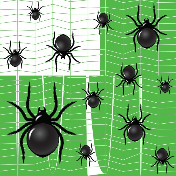 绿色背景上的蜘蛛图片下载