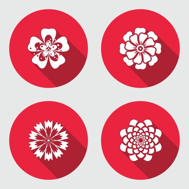 花的图标设置洋甘菊菊菊花图片下载