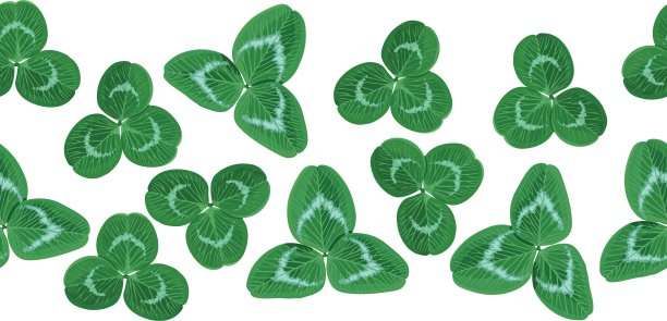 三叶草花环图片下载