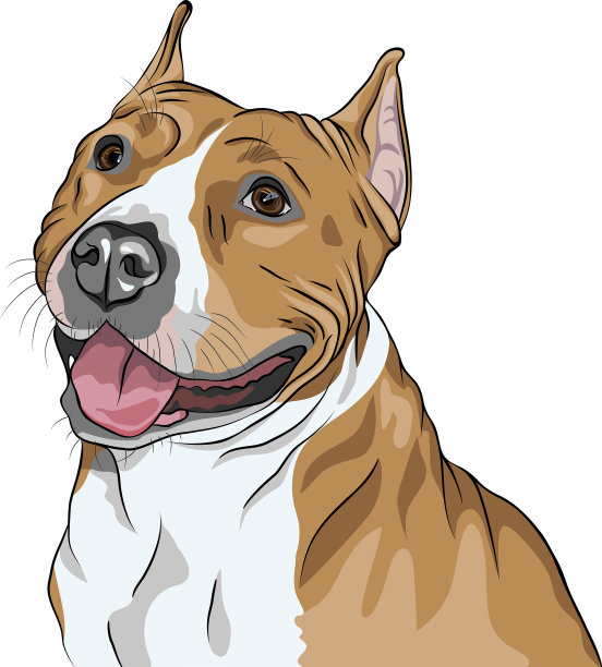 狗的速写图片下载