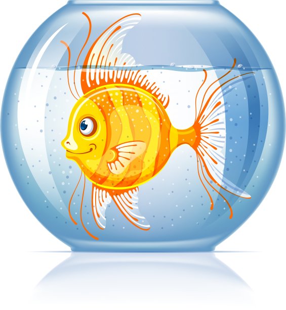 水族馆图片下载