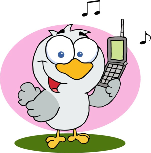 拿着手机的鸟图片下载