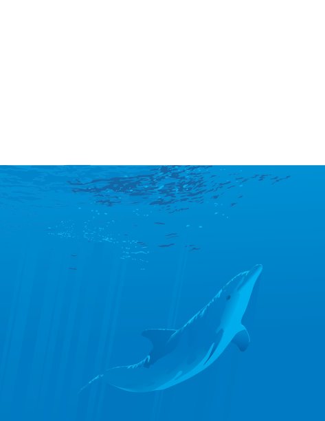 海豚游泳图片下载