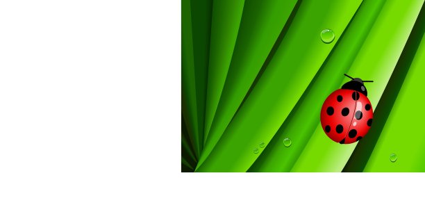 夫人错误图片下载