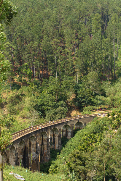 斯里兰卡丛林中著名的九拱桥铁路图片下载