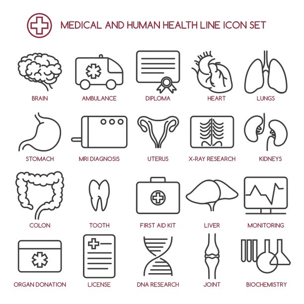 医药和人类健康线图标图片下载