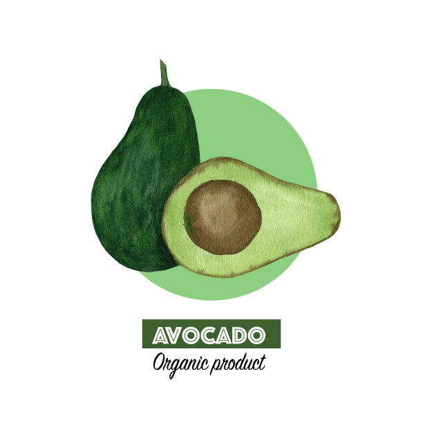 水彩牛油果的创意布局图片下载