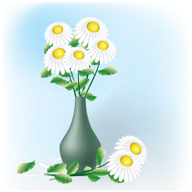 洋甘菊花束图片下载