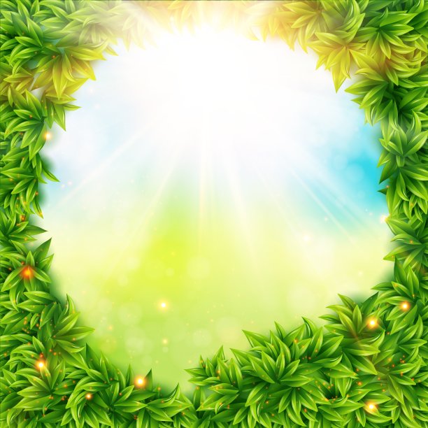 绿叶环绕着春天的阳光图片下载