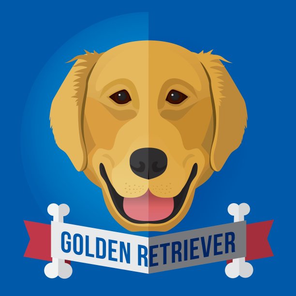 金毛猎犬图片下载