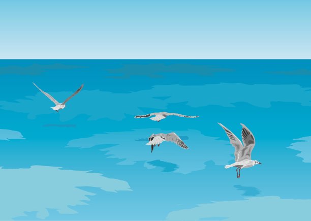 海鸥在大海图片下载