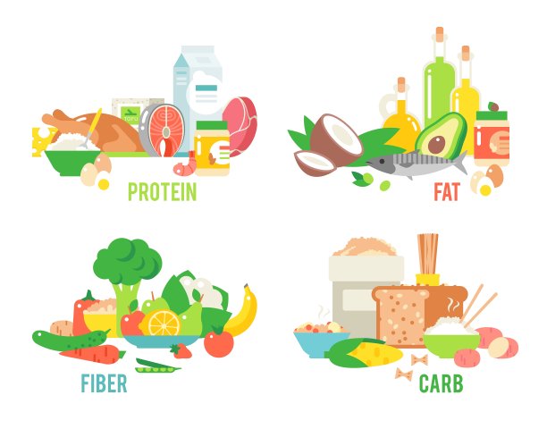 食物来源设置图片下载