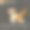 七巧板野生动物图片下载